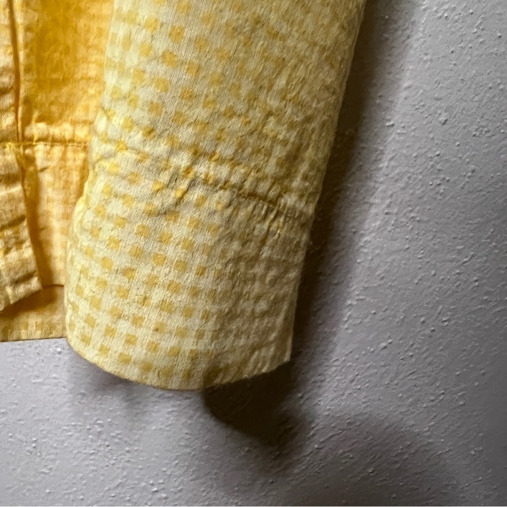 Fresh Produce set: yellow sleeveless shirt, Sz L. Yellow gingham pants, Sz XL. - Picture 11 of 13